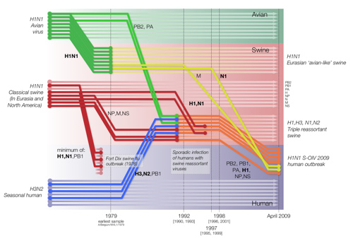 H1N1_evolution