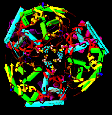 phosphorylase