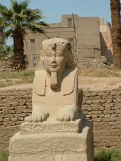 Sphinx  Louxor